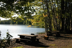 Picnic Site