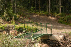 Walking Path Bridge