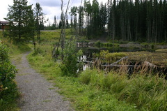 Nature Trail