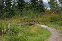 Wooden Bridge