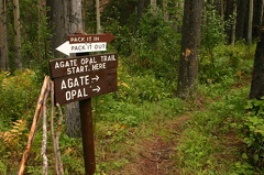 Opal Bed Trail
