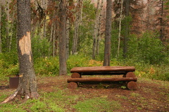 Wilderness Campground