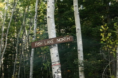 Directional Signs