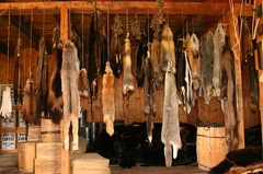 Fur Racks