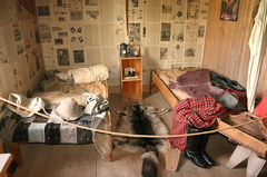 Mens House Bedroom