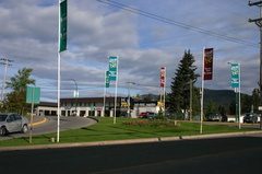 Downtown Stores