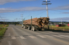 Logging Truck