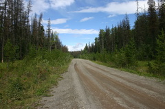 Gravel Roads