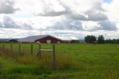 Red Barn
