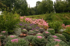 Flower Gardens