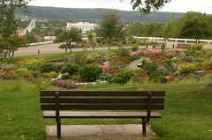 Viewing Bench