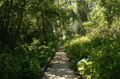 Hiking Trail