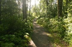 Hiking Trail