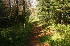 Hiking Trail