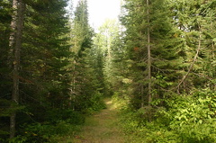 Adventure Trail