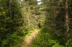 Hiking Trail
