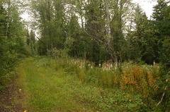 Hiking Trail