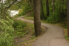 Walking Path
