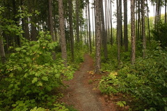 Hiking Trail