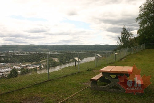 viewpoint_picnic 001.jpg