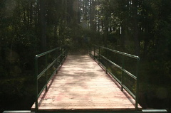 Walking Trail Bridge Crossing