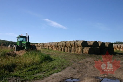 Hay and Tractors