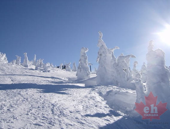 Big White : Okanagan Valley Ski Resorts