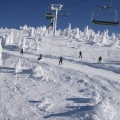 Amazing Snow