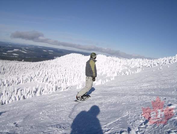 big_white 033.jpg