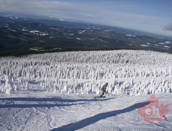 Powder Bowl