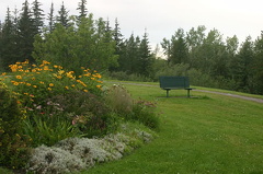 Flowers and Benches