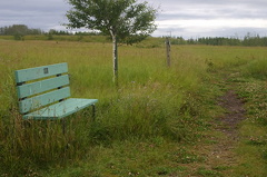 Viewing Bench