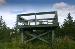 Viewing Platform