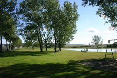 Grassy Fields