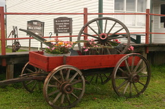 Flower Carriage
