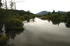 Marsh
