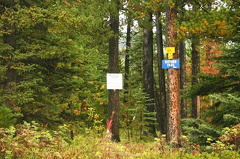 Bittern Trail