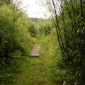 Boardwalk Bridge