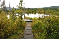 Viewing Platform