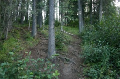 Hiking Trail