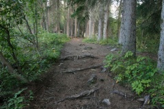 Hiking Trail