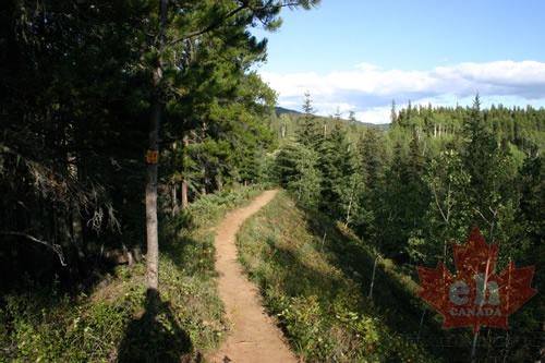 trail 001.jpg