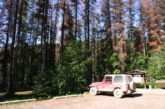 Parking Lot