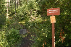Upper Viewpoint Trail