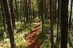 Hiking Trail