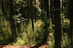 Monkman Trail