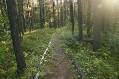 Hiking Trail