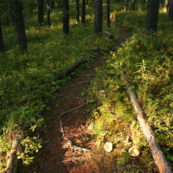 Murray Canyon