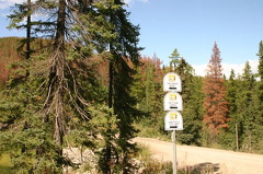 Directional Signs