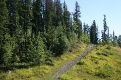ATV Roads